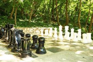 Gradina szachy