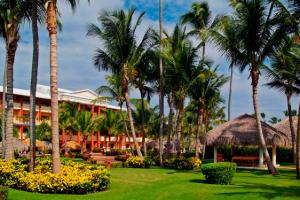 ogród, palmy Punta Cana