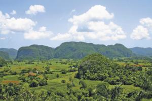 #wakacjeimage5 Trynidad