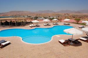 wczasy Aida Sharm el Sheikh