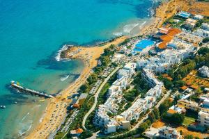 Alexander Beach oferta