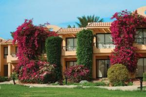 Ali Baba Palace hotel