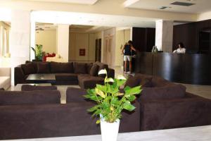 hotel Ammos recepcja