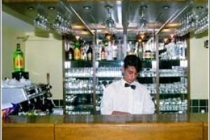 Anilgan bar