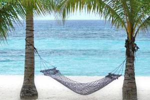 Bohol Beach Club wczasy