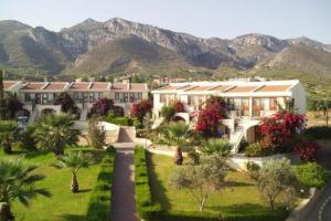 hotel Dedeman Olvie Tree