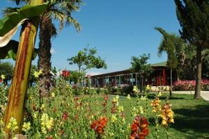 ogród hotelowy