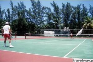 tenis