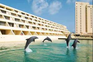oferta Dreams Cancun Resort&Spa
