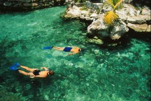 nurkowanie Dreams Cancun Resort&Spa