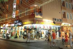 Ergun Alanya