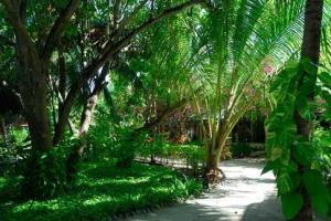 Eriyadu Island Malediwy