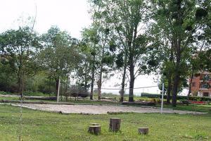 ogród