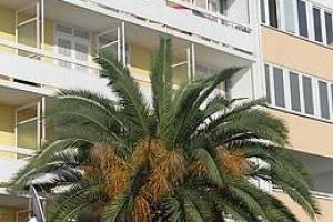 Kornati Biograd na moru