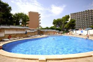 basen Marina Barracuda