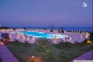 Papillon Belvil Club turcja