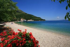 plaża Drvenik