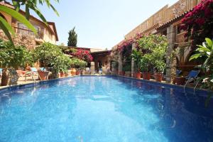 basen Roman Boutique