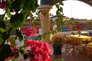 oferta Sahara Hotel 