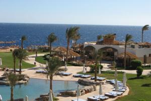 Shores Amphoras basen