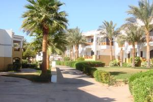 Shores Amphoras Resort