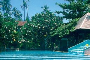 Tropical Villas atrakcje
