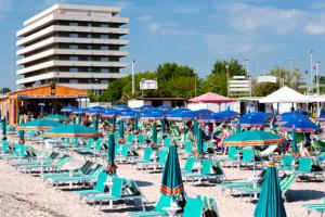 Cormoran Cattolica