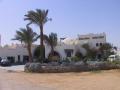 Al Diwan sharm el sheikh