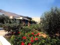 Angelos Village kwiaty