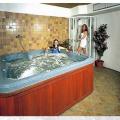 Bellevue jacuzzi