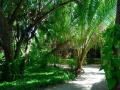 Eriyadu Island Malediwy