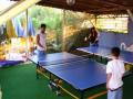 ping pong