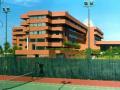 tenis