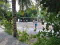 Lilly Beach hotel