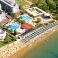 Lonicera World plaża