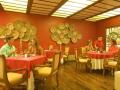 oferta Occidental Grand Xcaret