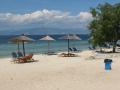 Pachis thassos