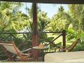 Paradise Sun taras
