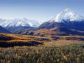 Alaska wycieczka objazdowa