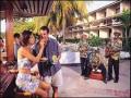 Shaw Park Beach Hotel & Suites bar