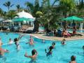 waterpolo