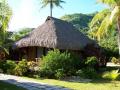 bungalowy w ogrodzie Hilton Moorea