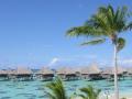 egzotyczne wakace Moorea