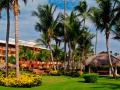 ogród, palmy Punta Cana